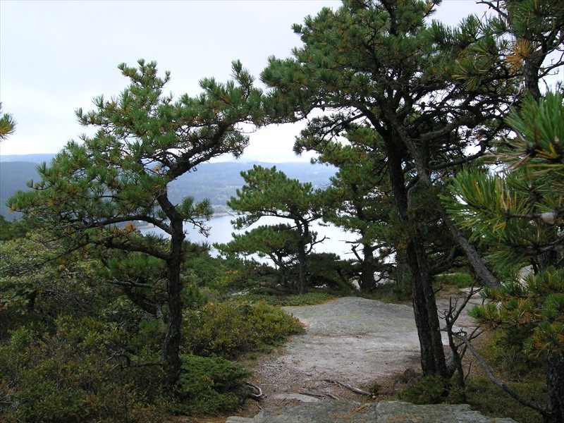 P9289503