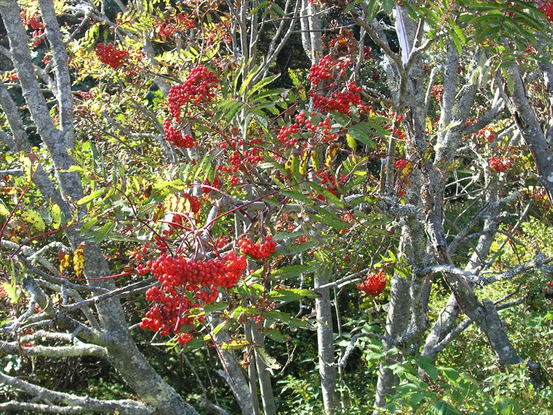 P9289556