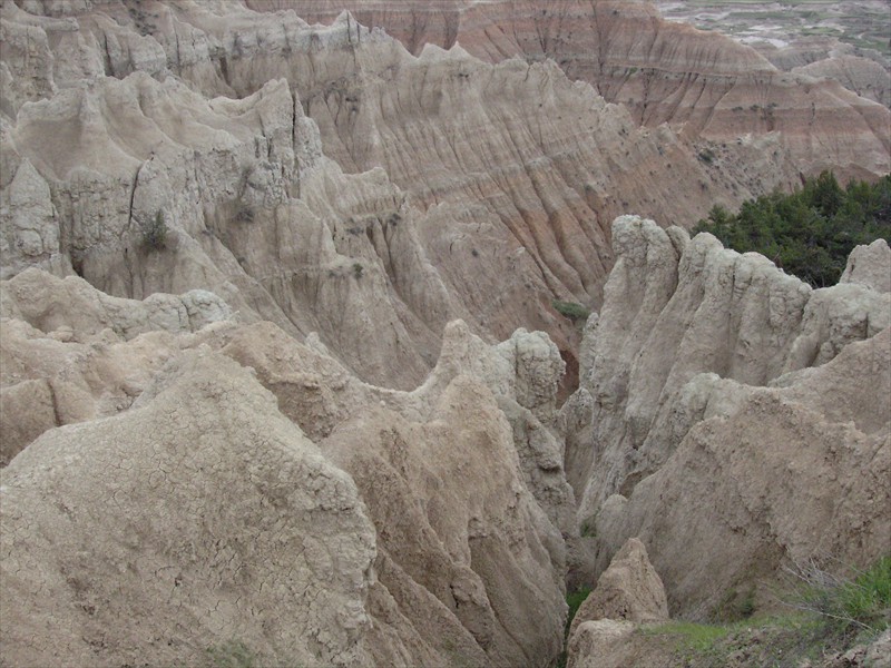 P5156303