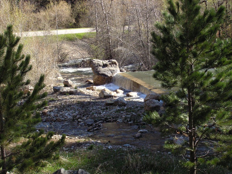 P5166463