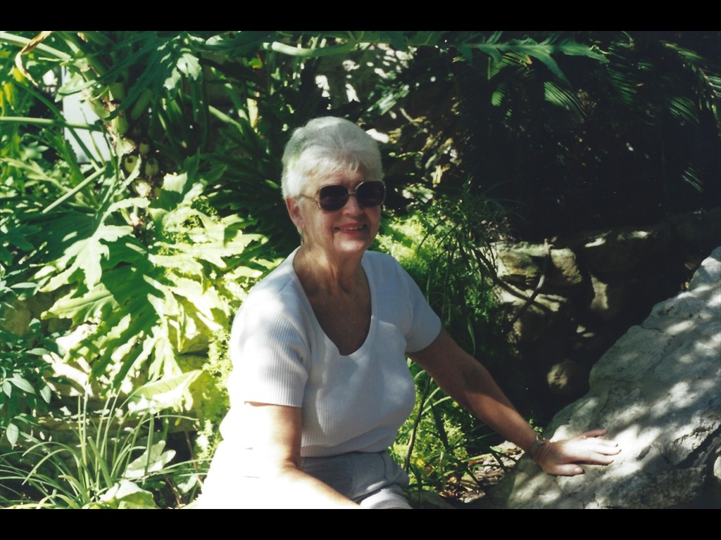 P30 San Antonio 1