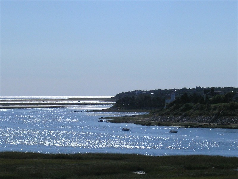 P9309604