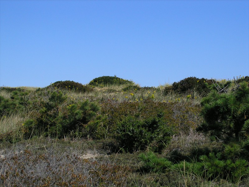 P9309623