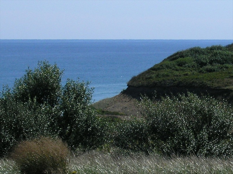 P9309631