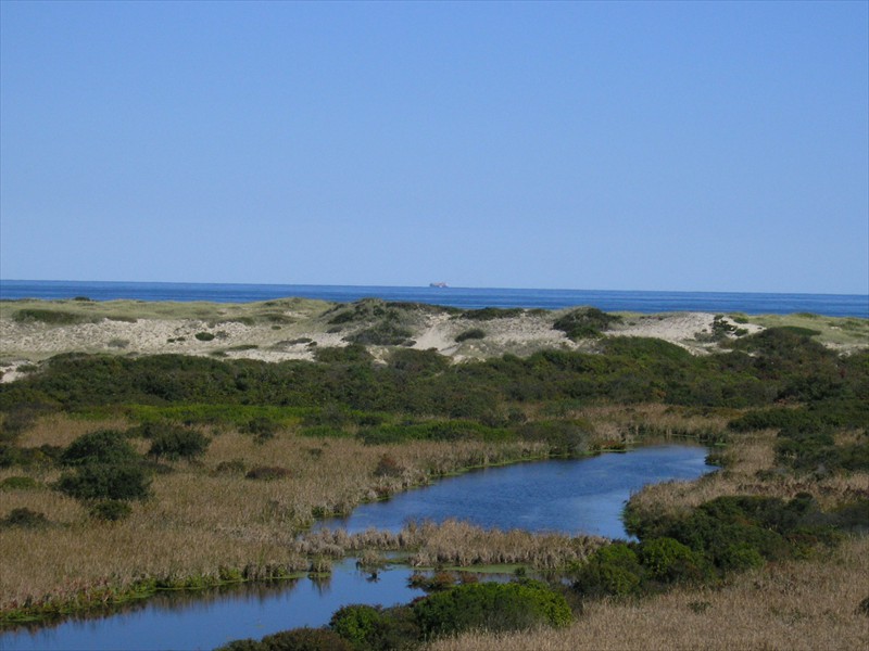 P9309645