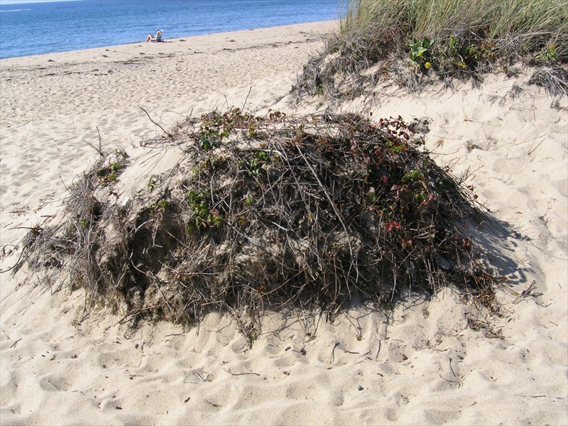 P9309659