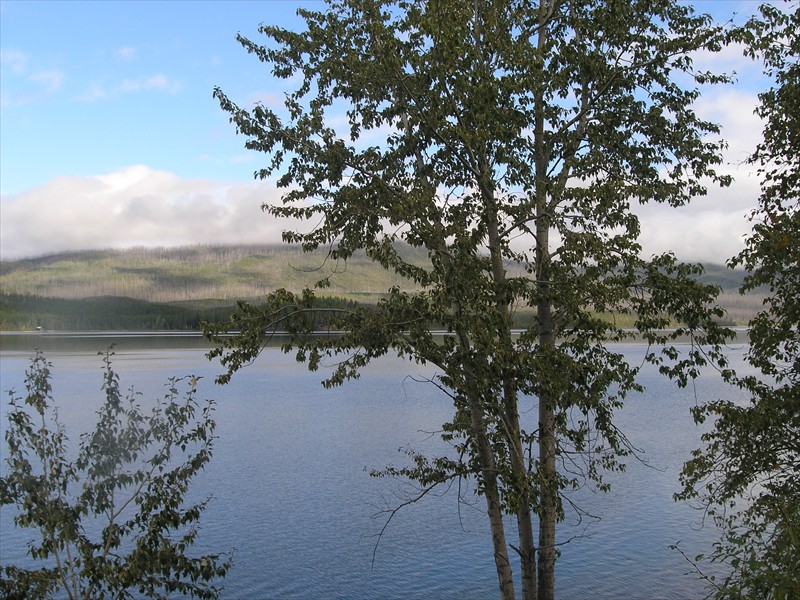 P9093012