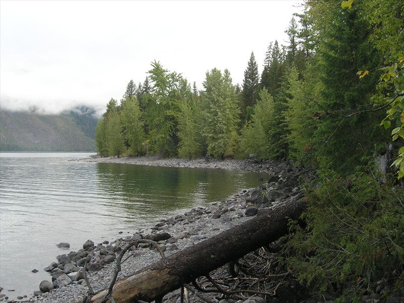 P9093028