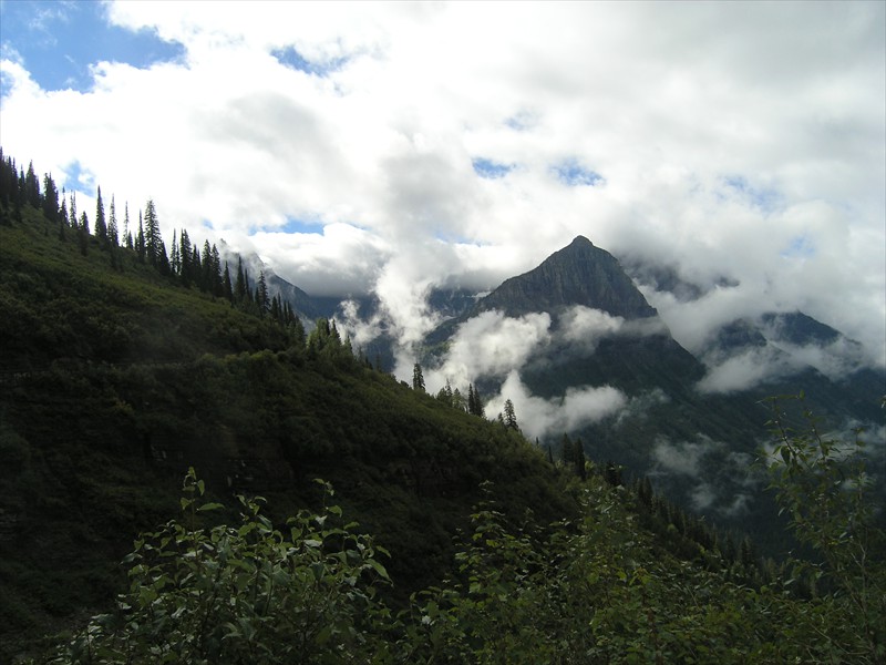 P9093073