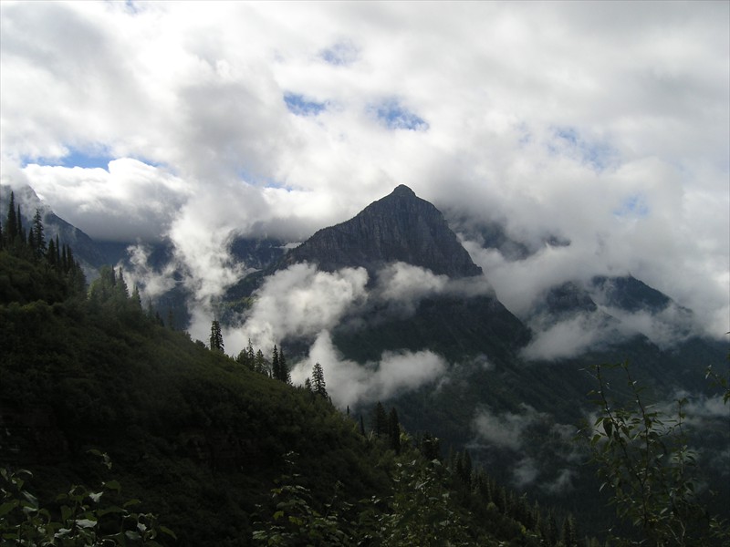 P9093074