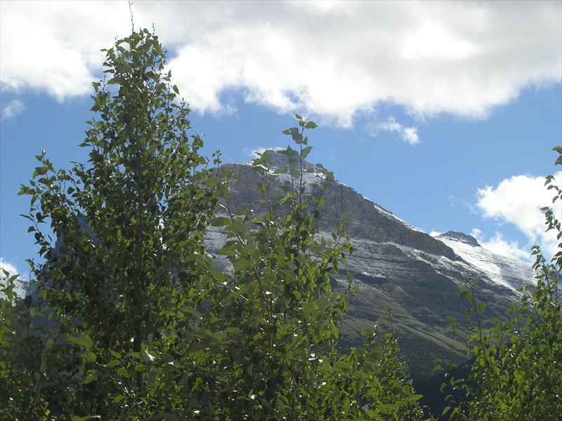 P9093104