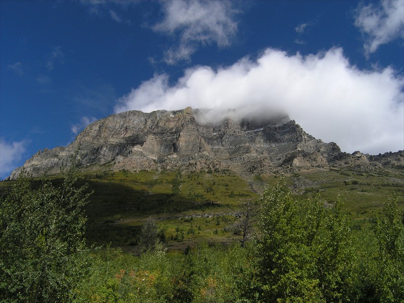 P9093106