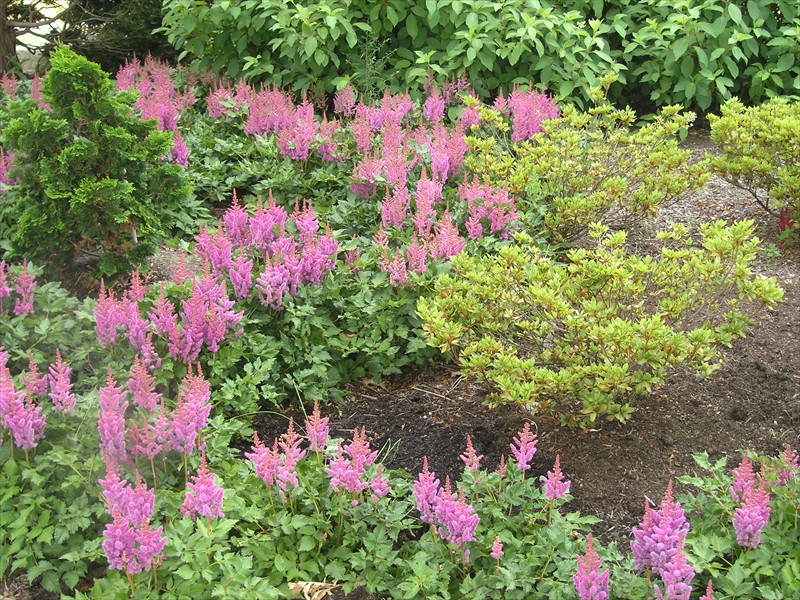P6292932