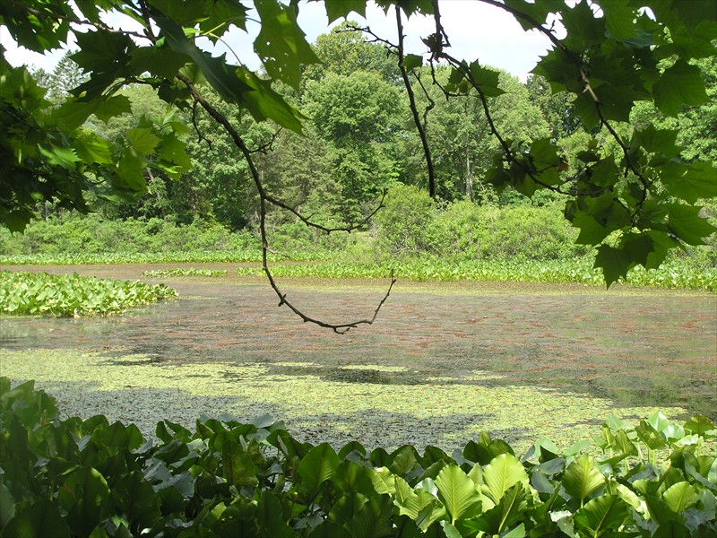 P6293000