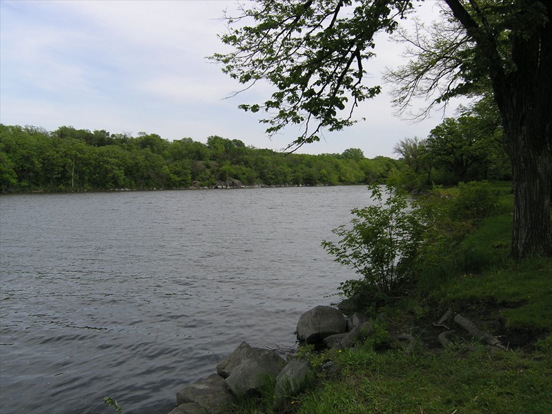 P5207593