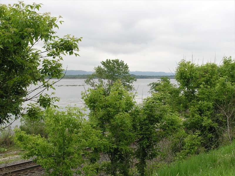 P5217652