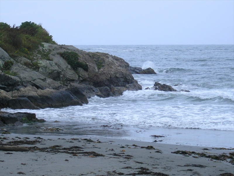 PA019731