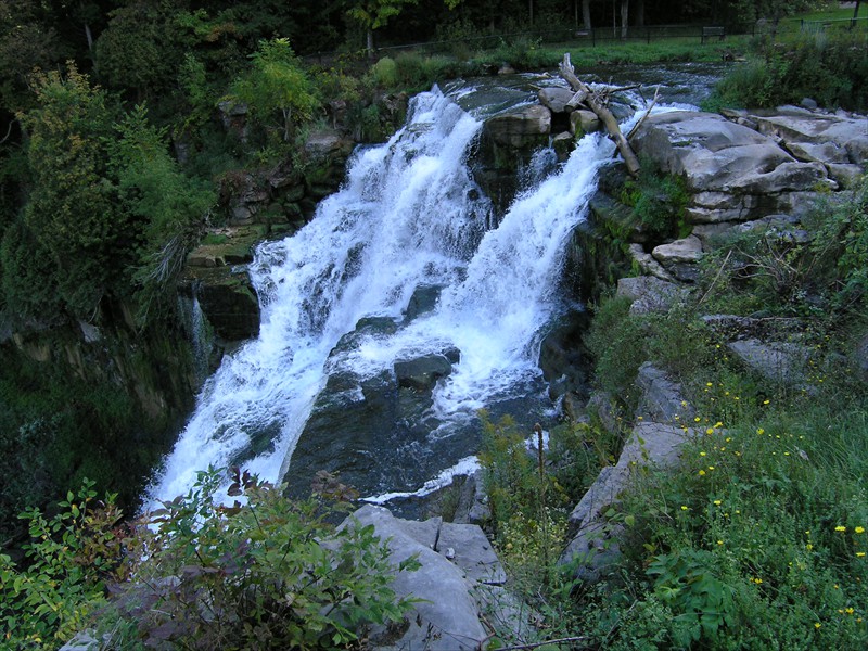P9219062