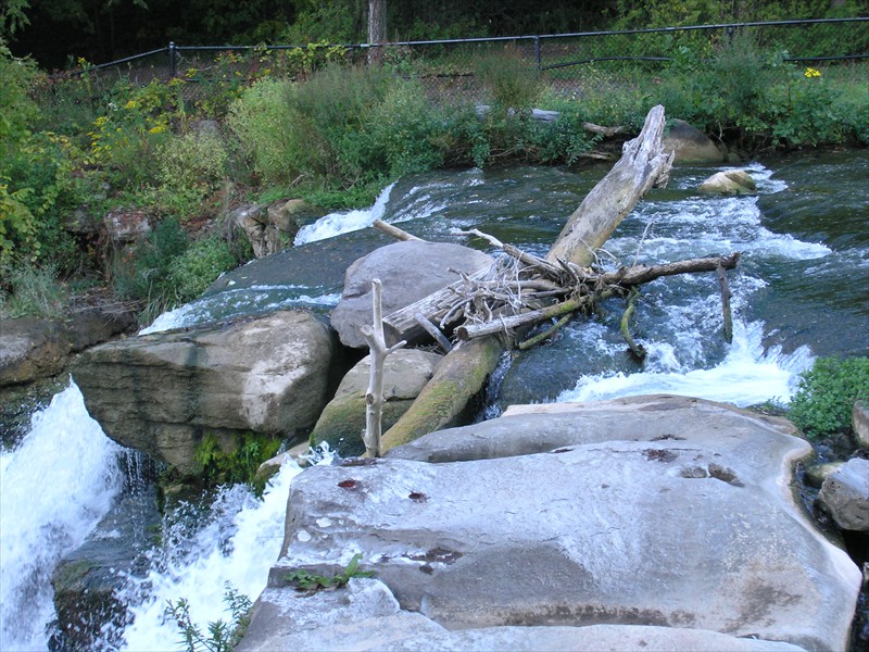 P9219068